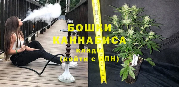 шишки Пересвет