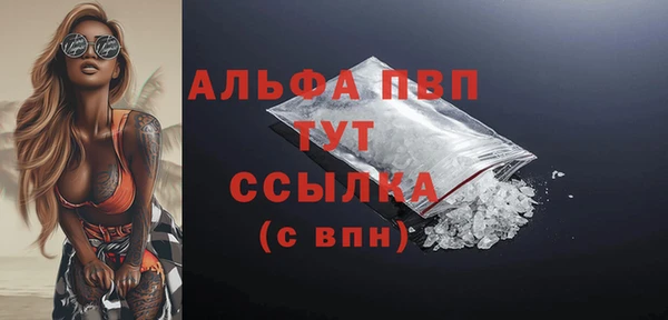шишки Пересвет