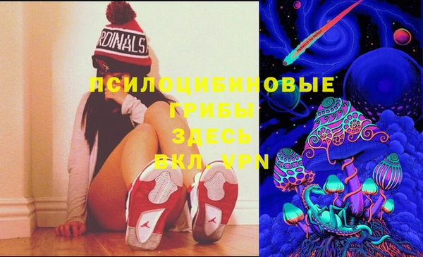шишки Пересвет