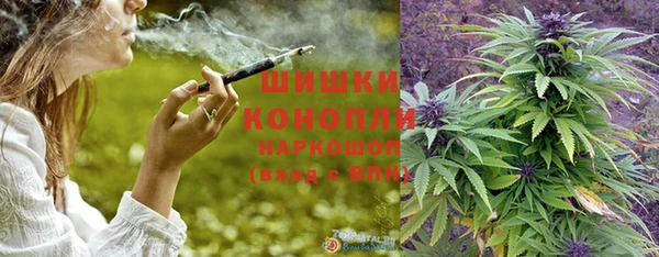 шишки Пересвет